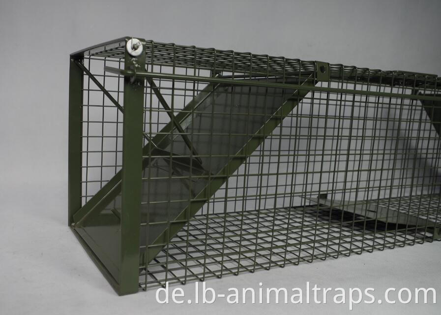 Humane Live Multi Catch Wire Mesh Metall Maus Ratte Tierfalle Grüne PVC Live Badger Cage Trap